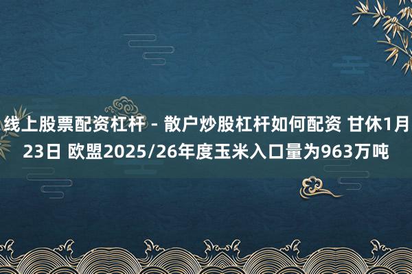线上股票配资杠杆 - 散户炒股杠杆如何配资 甘休1月23日 欧盟2025/26年度玉米入口量为963万吨
